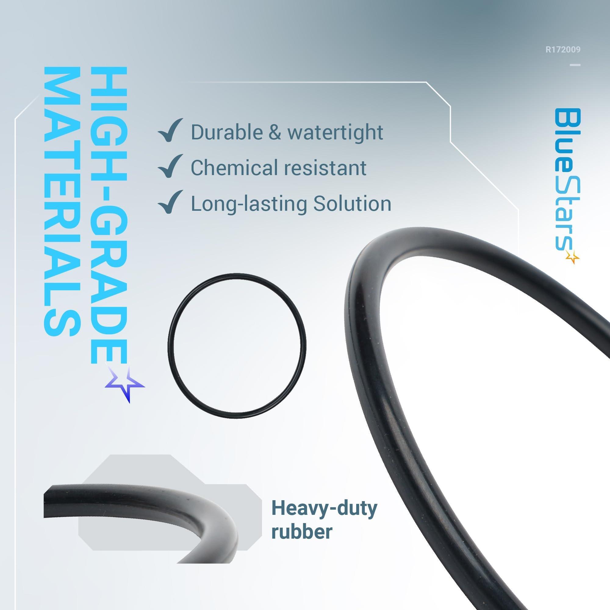 [Lifetime Warranty] R172009 Cap O-Ring for Automatic Chlorine/Bromine Pool/Spa Filter - Compatible with Pentair Rainbow Automatic Chlorine/Bromine Pool and spa Feeder 300 302 300-29X 320 322 - Pack of 2 image 2