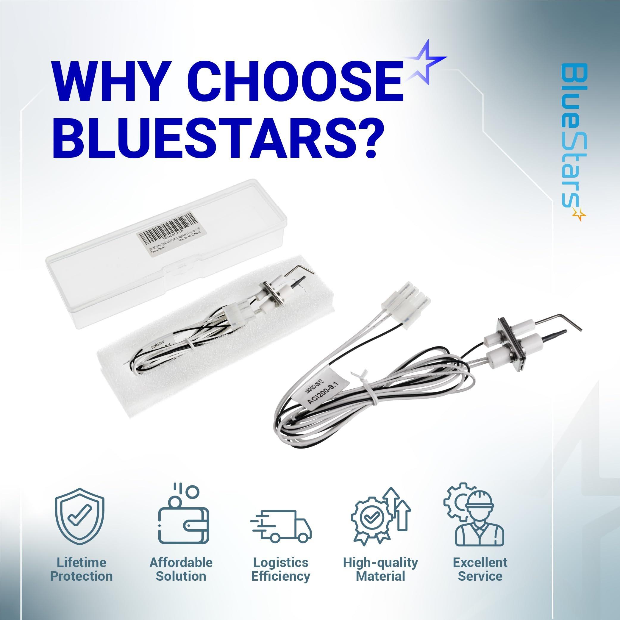 [Lifetime Warranty] Q3400A1024/U Igniter Flame Rod Assembly 24V image 8