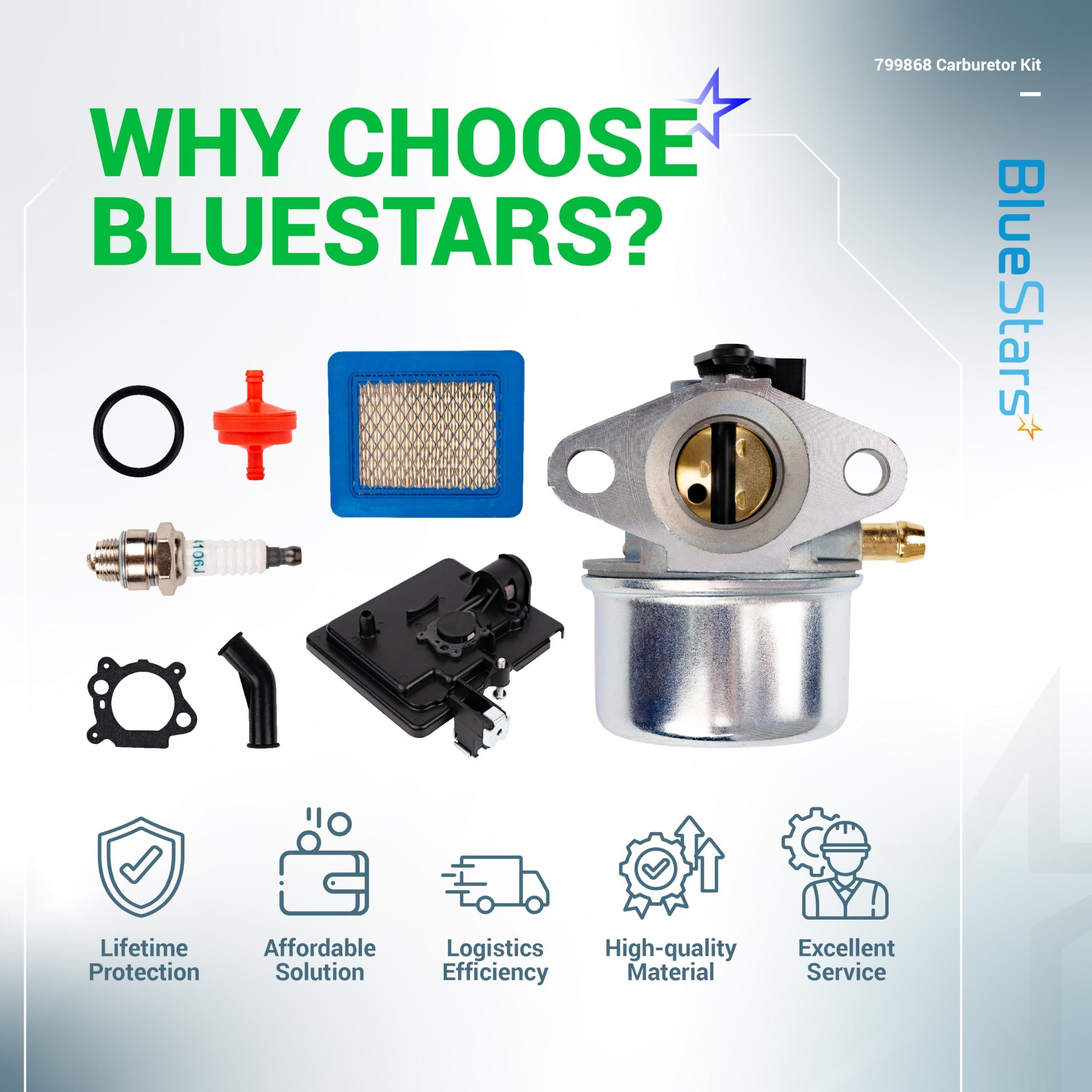 [Lifetime Warranty] 799868 Carburetor Replacement Kit image 8