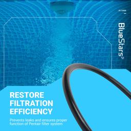 [Lifetime Warranty] R172009 Cap O-Ring for Automatic Chlorine/Bromine Pool/Spa Filter - Compatible with Pentair Rainbow Automatic Chlorine/Bromine Pool and spa Feeder 300 302 300-29X 320 322 - Pack of 2 thumbnail 3