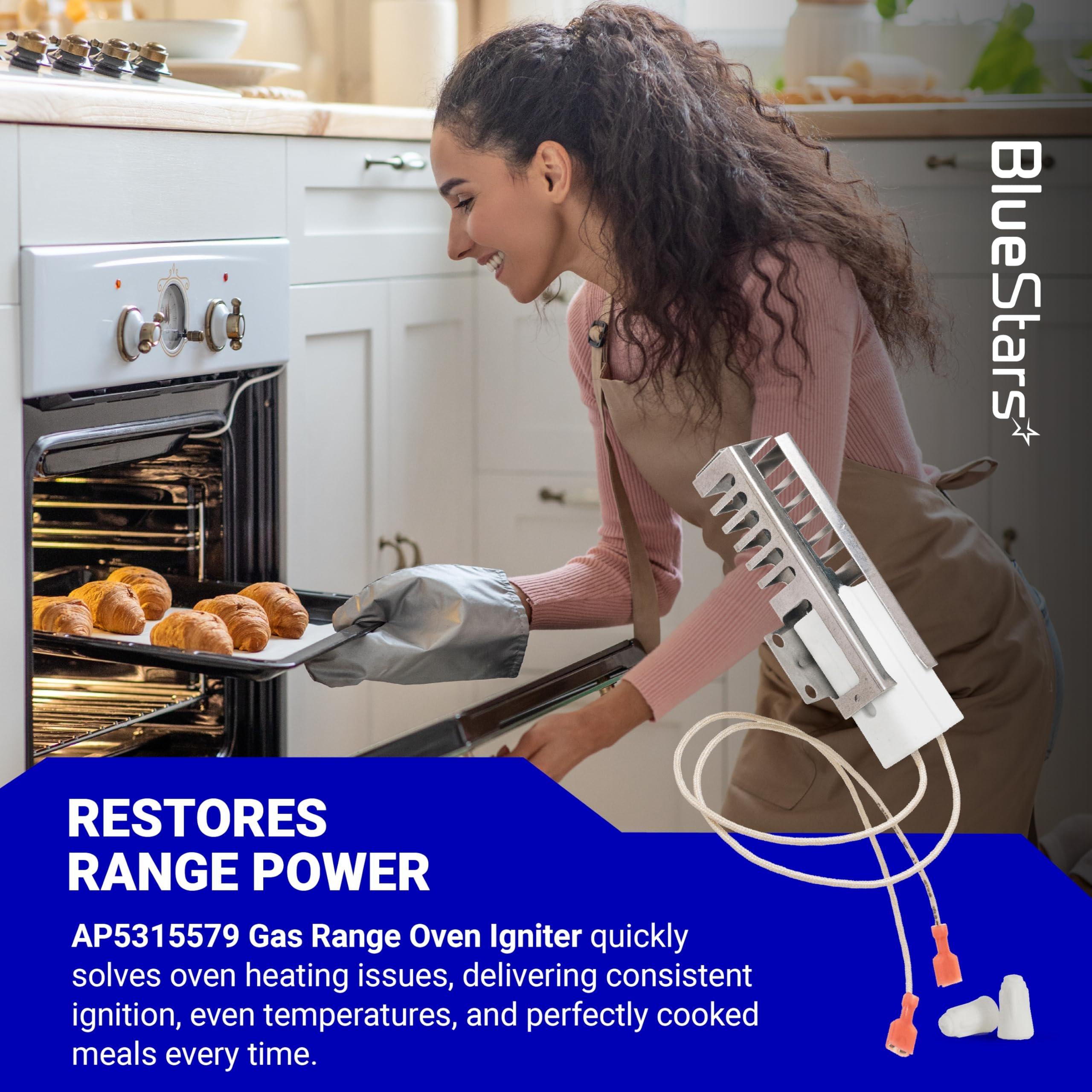 [Lifetime Warranty] AP5315579 Gas Range Oven Igniter - Compatible with Viking Range Ovens - Replaces PB040001 065650-000 702263 SGR40001 GR40001 792263- Includes 2 Igniters and 4 Ceramic Nuts image 4