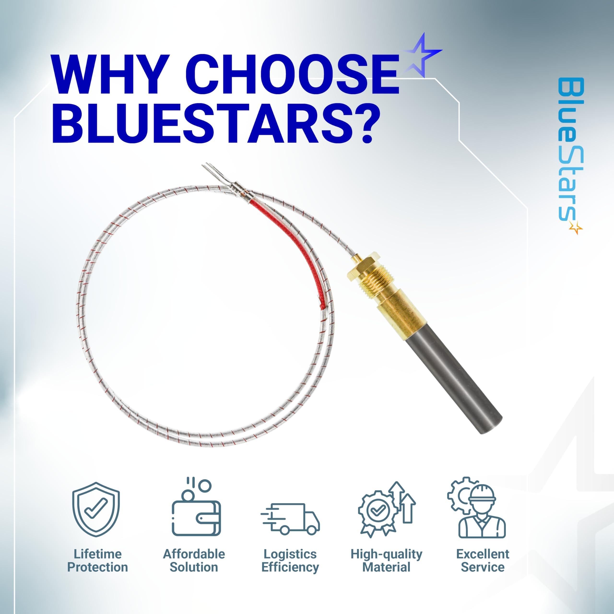 [Lifetime Warranty] Q313A 071515 Thermopile 750 Millivolt image 8