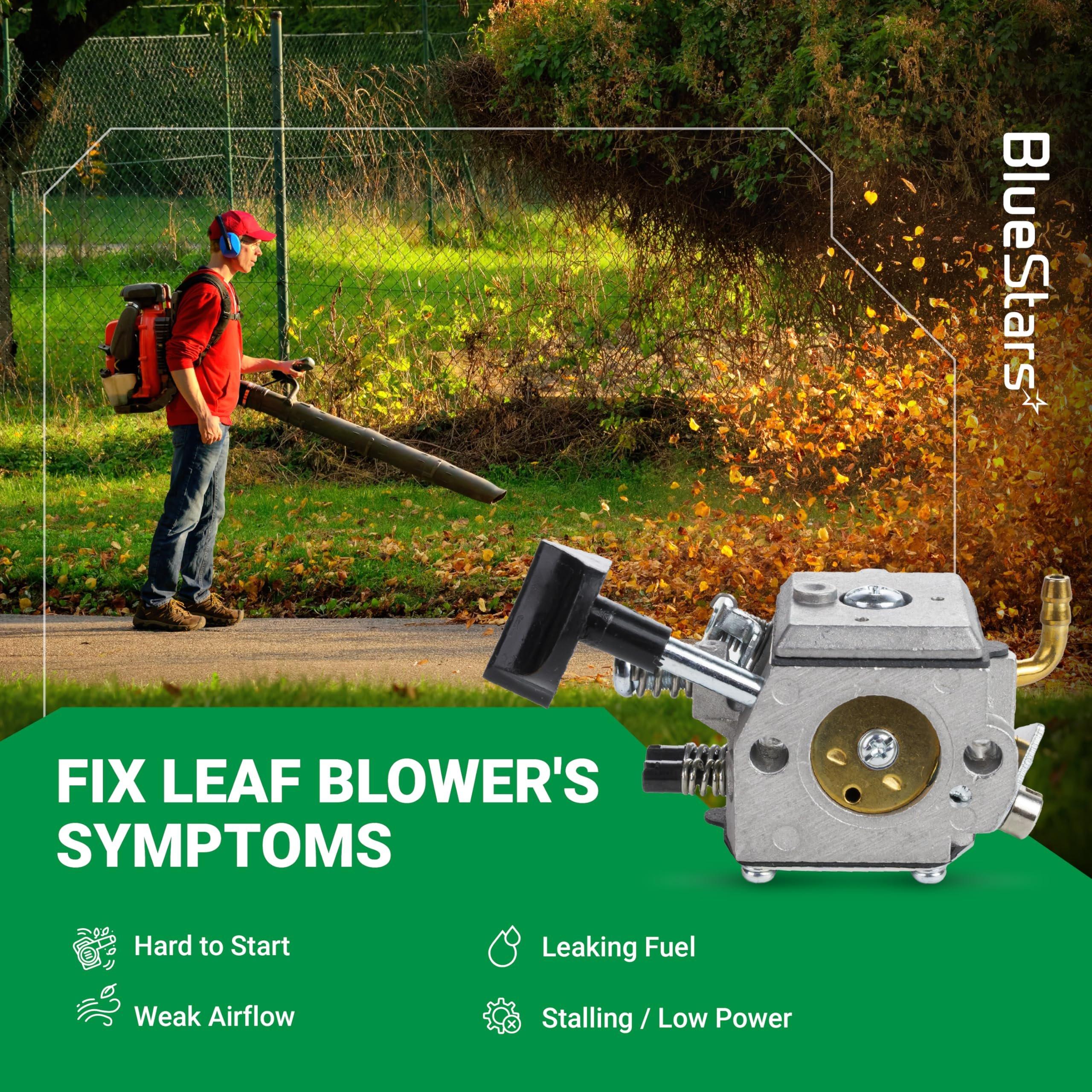 [Lifetime Warranty] BR420 BR340 Carburetor Kit - Compatible with Stihl BR340 BR380 BR400 BR420C BR320 SR320 SR340 SR380 SR400 SR420 Backpack Blower - Replace Stihl 4203-120-0601 image 9