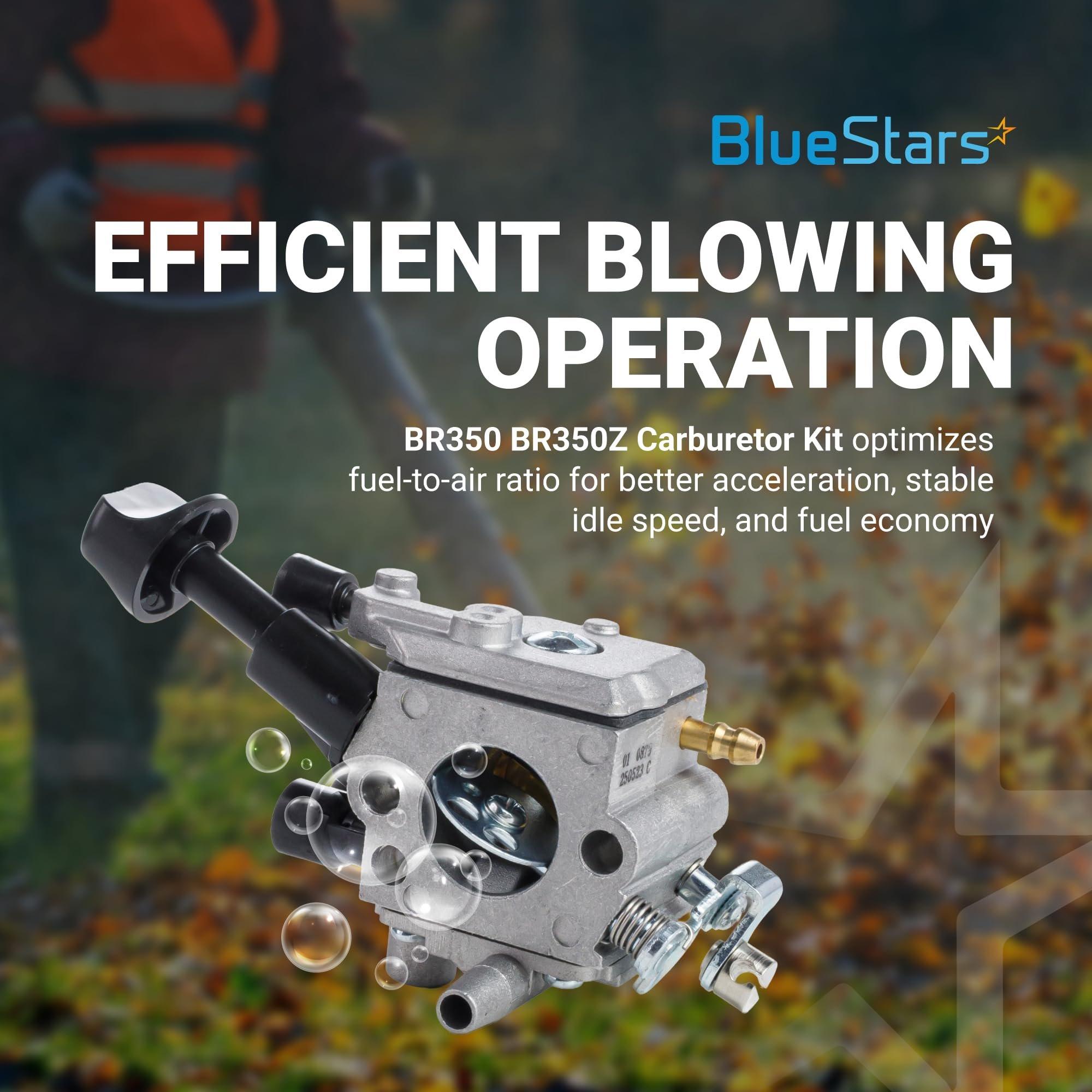 [Lifetime Warranty] Carburetor BR350 BR350Z - Compatible with Stihl BR430 BR450 SR430 SR450 Backpack Blower - Replace4244 120 0606, Carb Repair Kit Compatible with Zama C1Q-S210 C1Q-S210B C1Q-S209C image 9