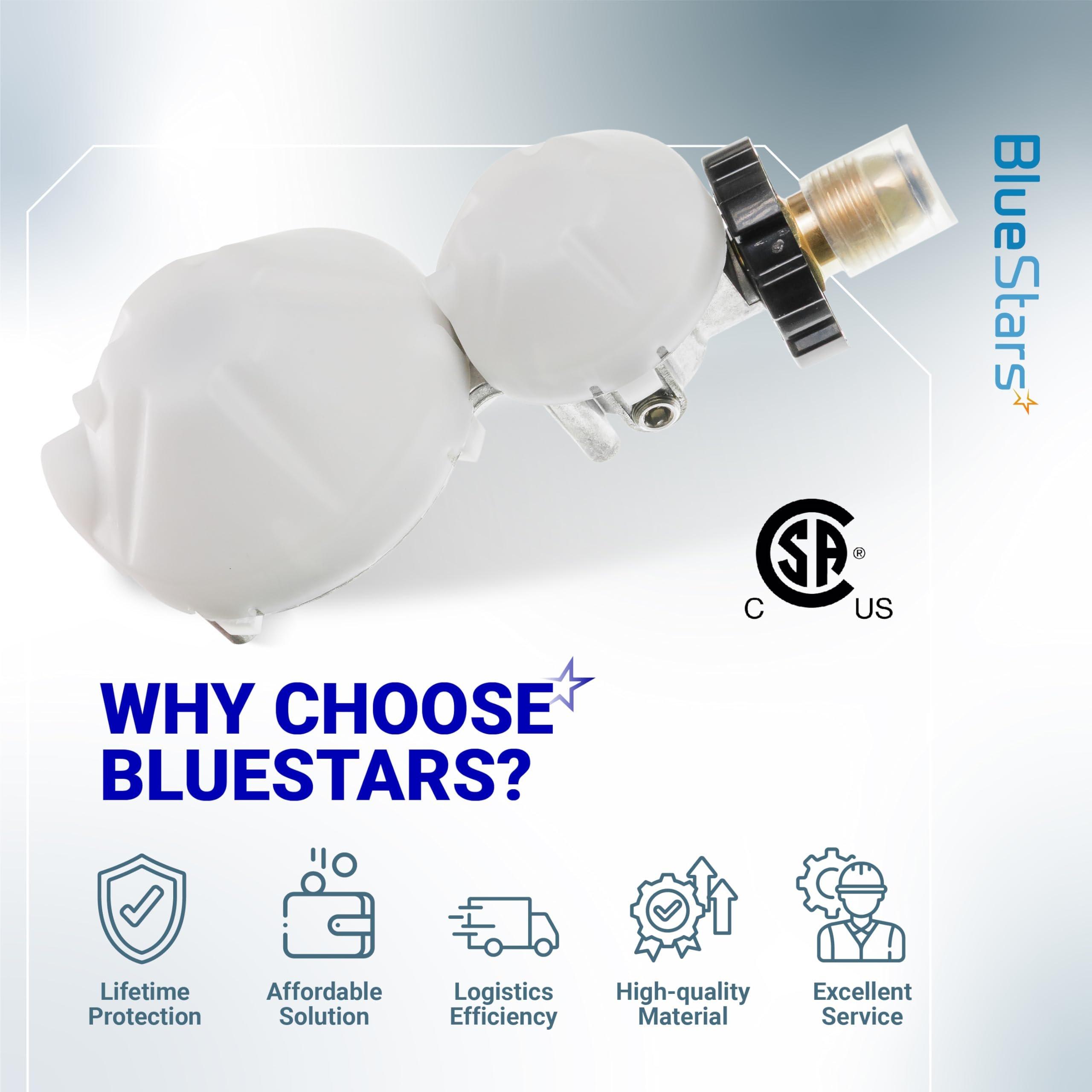 BlueStars 2 Stage Propane Regulator with POL - Standard P.O.L Connection and 3/8in Female Flare Fitting - Propane Tank Regulator for RV Vans Trailers Campers 100lb Tank ASME Tank Generators image 8