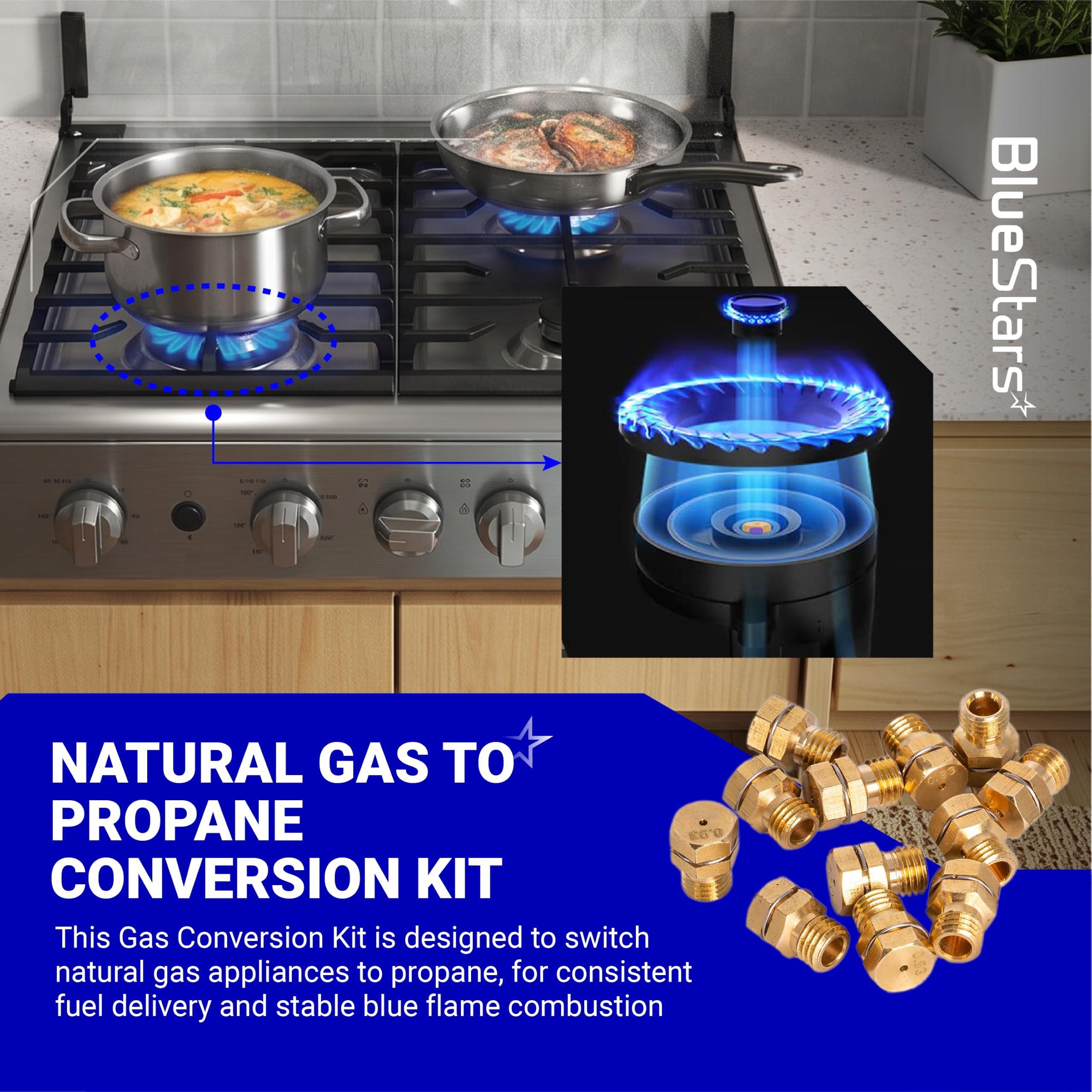 GRLP4 LP Gas Conversion Kit, Natural Gas to Propane Conversion Kit with 12 Brass Orifices and Wrench – Compatible with Frigidaire Kenmore Electrolux Range/Cooktop/Stove with Instruction image 6