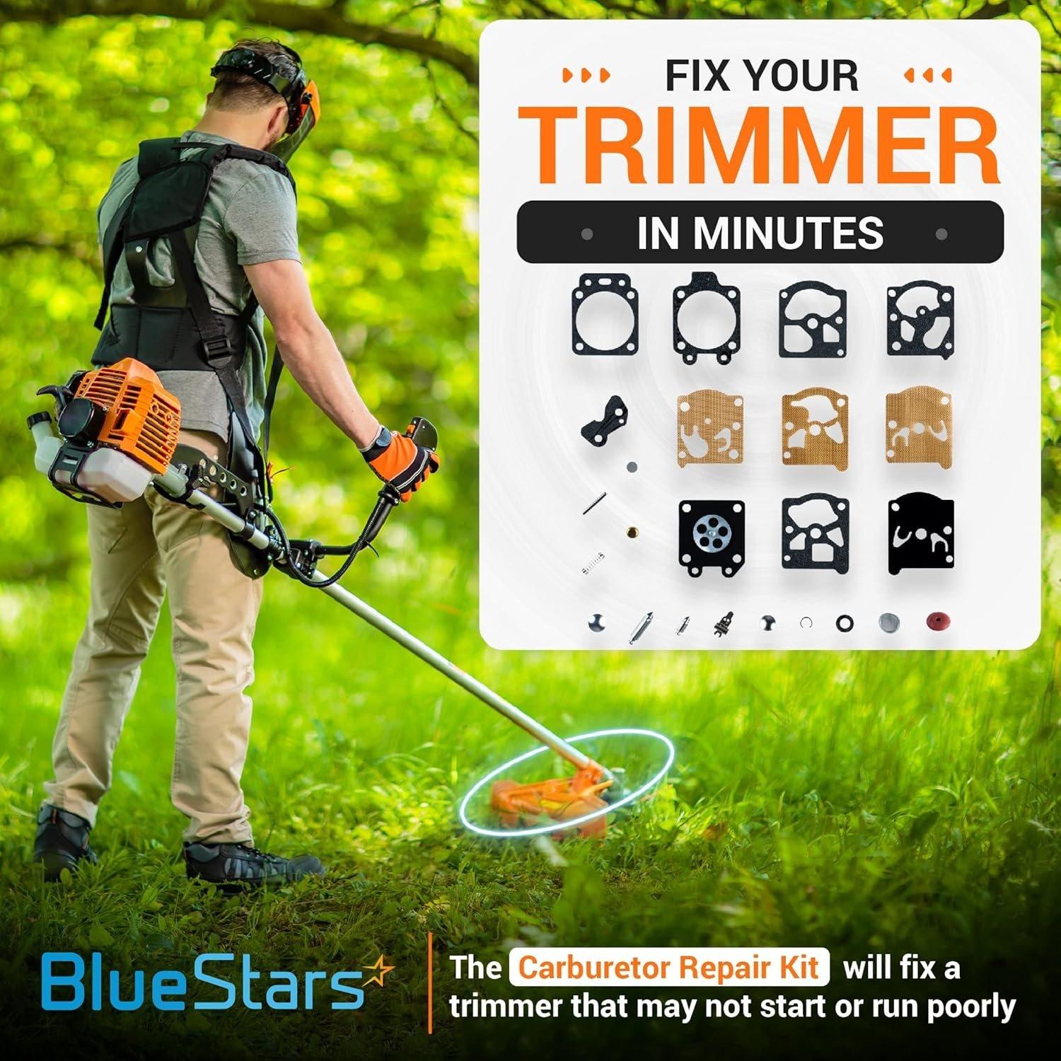 K20-WAT Carburetor Rebuild Kit image 2