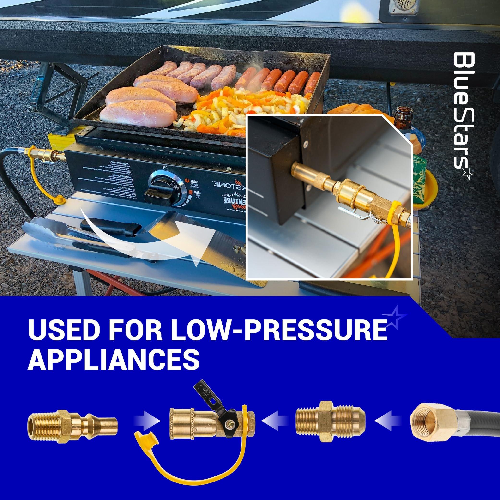 BlueStars RV Propane Quick Connect Fitting Adapter Valve Kit - 1/4" Male NPT Full Flow Plug & 3/8" Male Flare Quick Kit for Low Pressure Gas Appliance Heater Grill Fire Pit and RV Quick Connect, 7pcs image 7