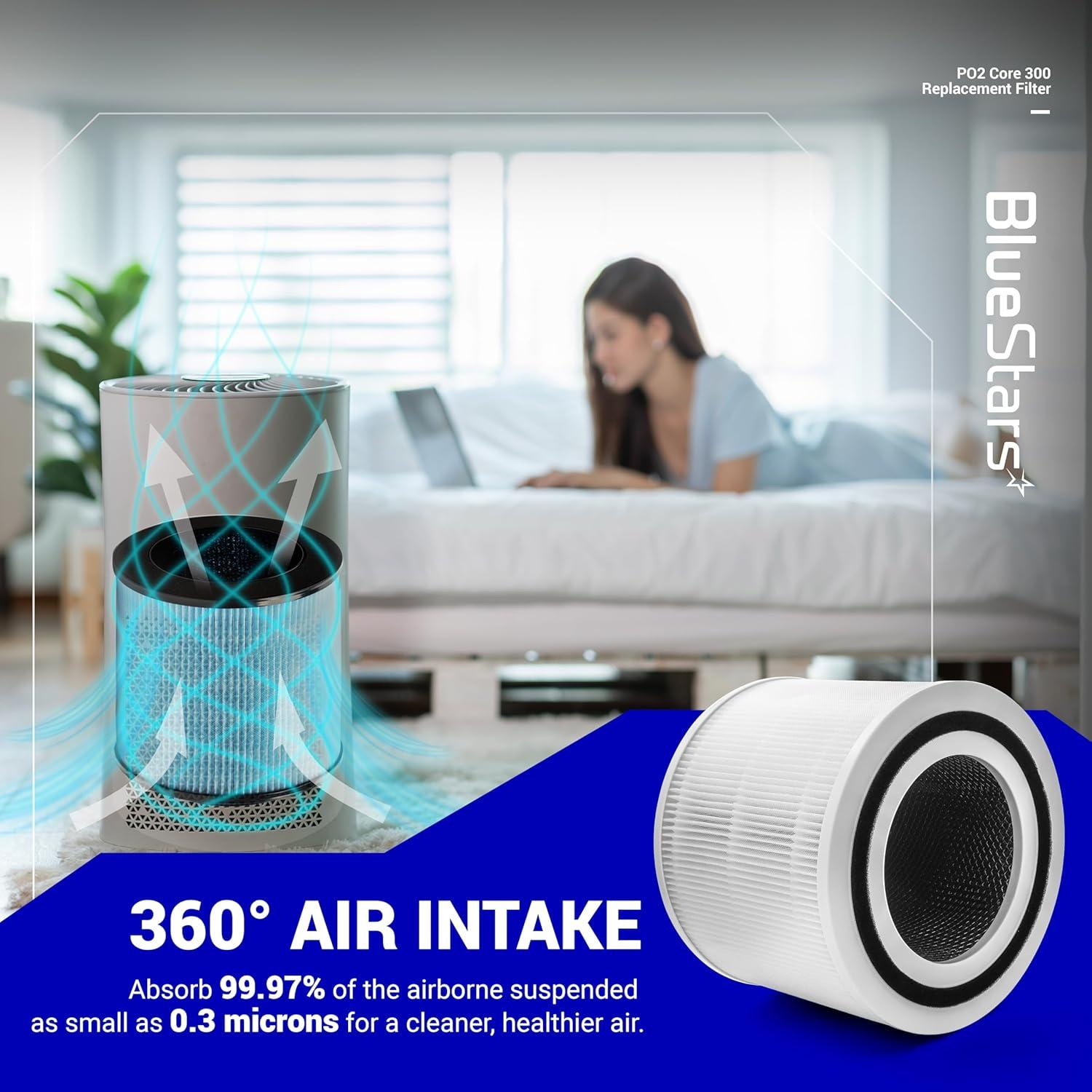 2 Pack Core 300 Air Purifier Filter image 5