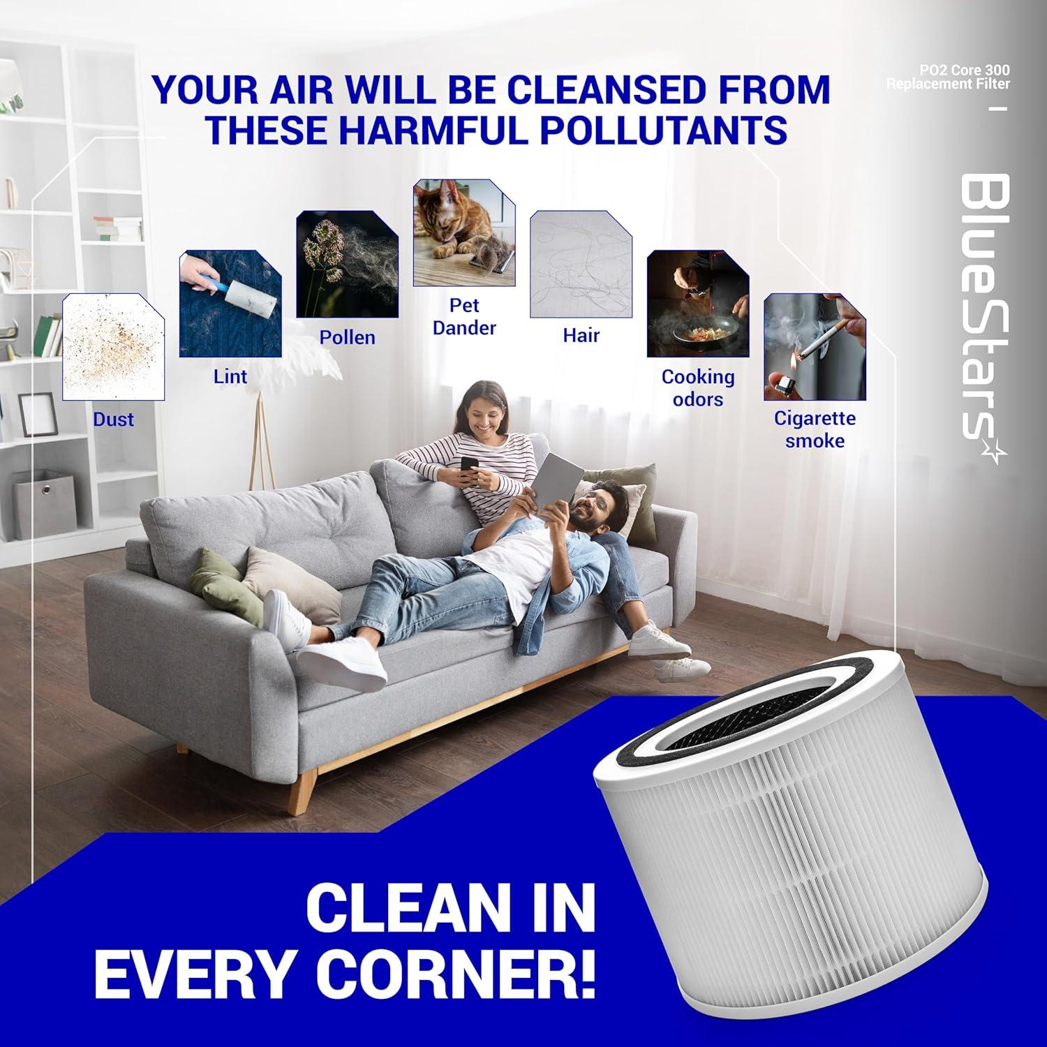 2 Pack Core 300 Air Purifier Filter image 6