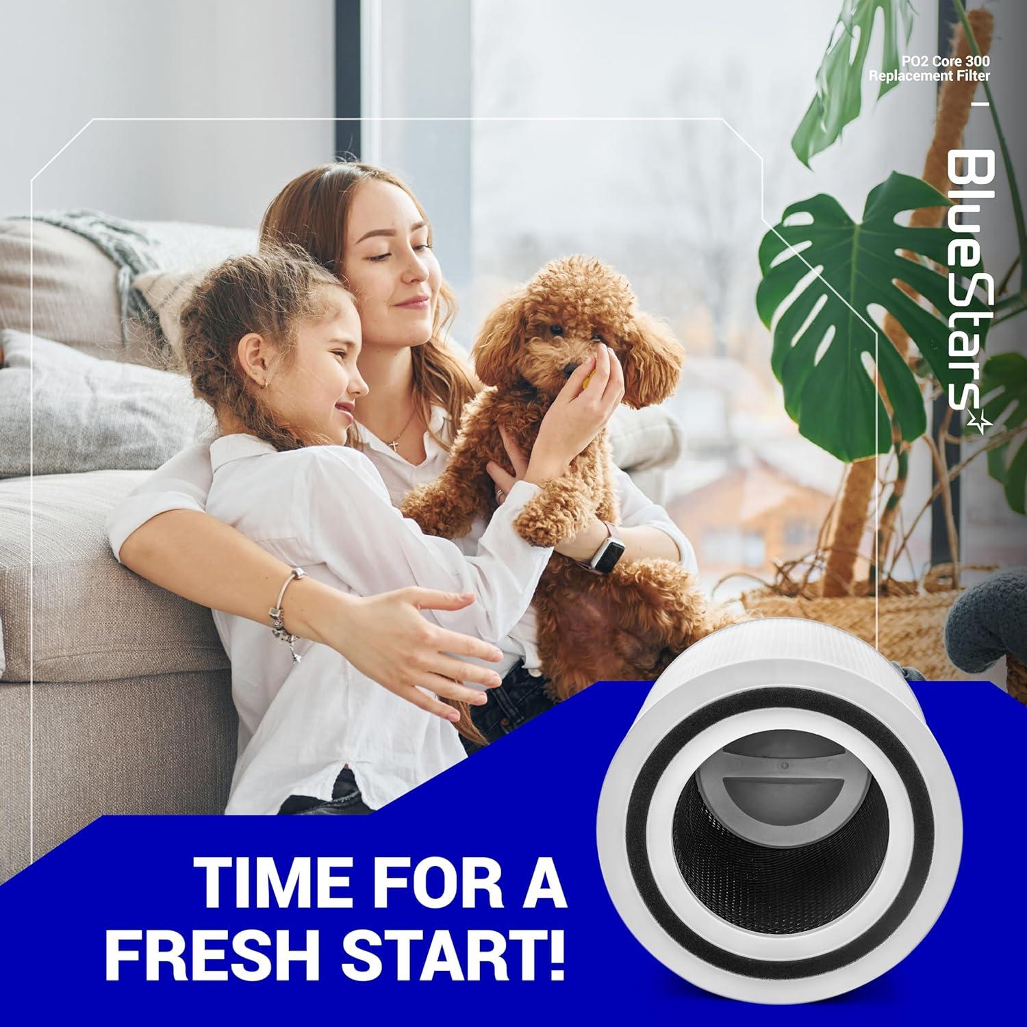 2 Pack Core 300 Air Purifier Filter image 8